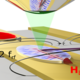 Magneto-optical measurement of spin waves in a magnetic microstructure. The excitation is performed by the microwave field of a waveguide structure.