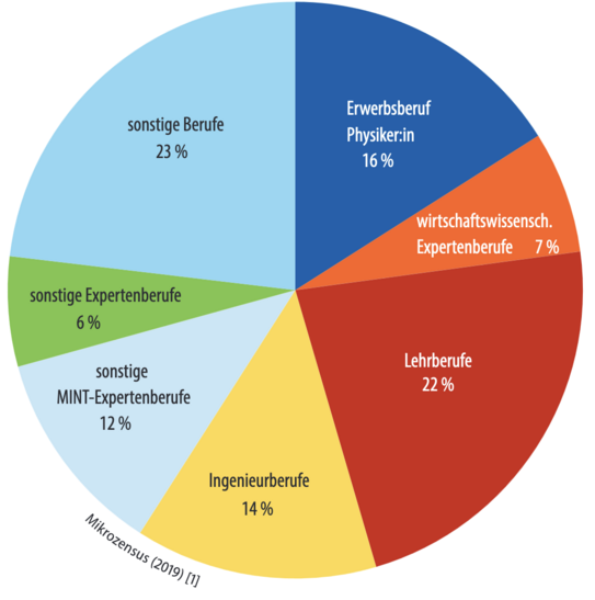Pie-Chart Darstellung der Berufsfelder von Physikerinnen und Physiker