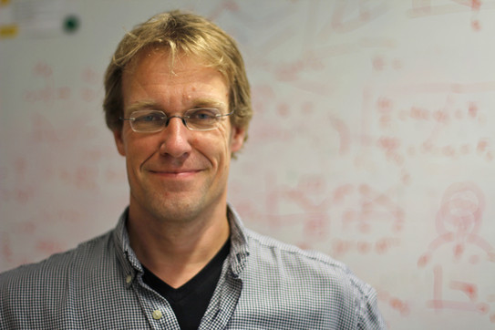 Jan Kierfeld Portrait von Jan Kierfeld